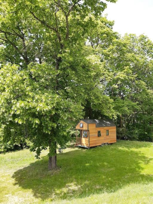 Micro Maison Bois / Tiny House Au Calme Crest Exterior photo